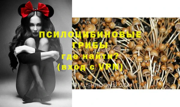 MESCALINE Алзамай