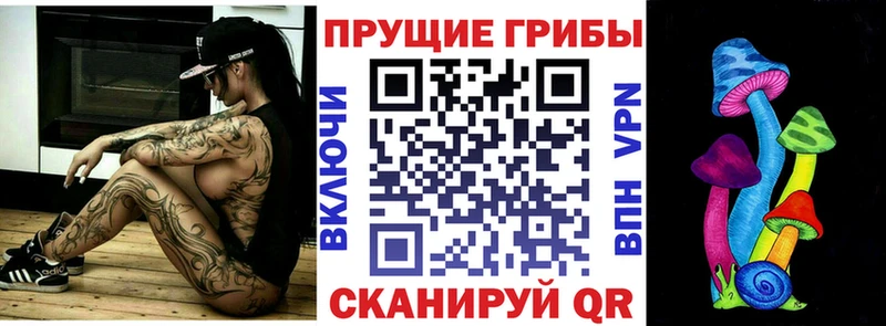 где продают   Лаишево  Псилоцибиновые грибы GOLDEN TEACHER 